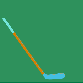ROLLER HOCKEY CONFIRME